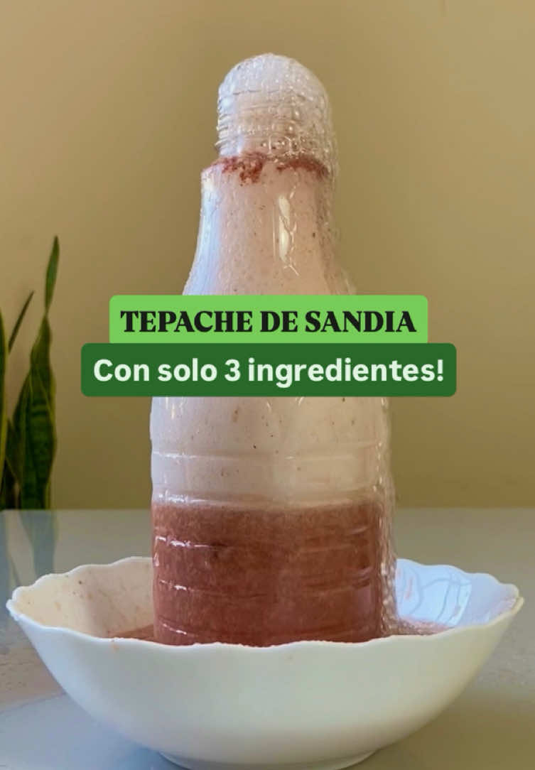 🌟 BEBIDA FERMENTADA CONSCIENTE! 🌟 ♻️ Una de mis mayores pasiones en la cocina y en el mundo de la fermentación es transformar lo que sería basura en algo increíble.  🍉 Y así nació esta idea: tepache hecho con cáscara de sandía. Una bebida fermentada, probiótica, súper refrescante, y que reutiliza eso que casi todos tiran! 💥 ¿Sabías que la cáscara de sandía es rica en: – Citrulina, mejora circulación y salud muscular – Licopeno, antioxidante poderoso – Fibra, regula el intestino – Vitaminas A, B6 y C, fortalece defensas – Clorofila, desintoxicante natural – Antiinflamatorios naturales – Minerales como potasio y magnesio 📝 INGREDIENTES:  - 1 litro de agua filtrada - 400g de cáscara de sandía - 60g de azúcar (la que prefieras) 👉🏻 Déjala fermentar de 2 y 3 días. Colala y está lista para tomar!  😍 Estoy pensando en hacer una nueva gaseosa usando la pulpa de la sandía… ¿Querés que la suba? Comentá SANDÍA y te la muestro en los próximos días!  #tepache #bebidafermentada #fermentacion #bebidagasificada #fermento 