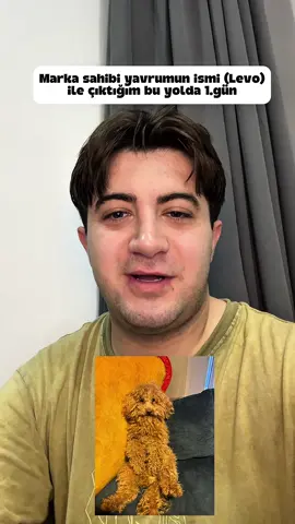 Yayıncı olmaya çalışıyorum 1.gün 🫶 #CapCut #youtube #kick #streamer #yayıncı #shorts #tiktok #keşfet 