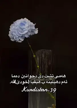 #في هذا اليوم 