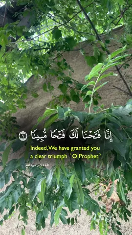 #quran #quran_alkarim #quranrecitation #allah❤️ #grow #growmyaccount #islamic_video #foryoupage❤️❤️ #❤️❤️❤️ #🔥🔥🔥 #🤲🤲🤲 #CapCut 