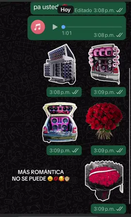 si quieren los stiquers y el audio díganme y se los pasooooooo🙊🙊😻💓 #audiosdewhatsapp #audiosdetiktokawhatsap #sere #quieroserelamor #quieroser #audiostiktok #stiquers 