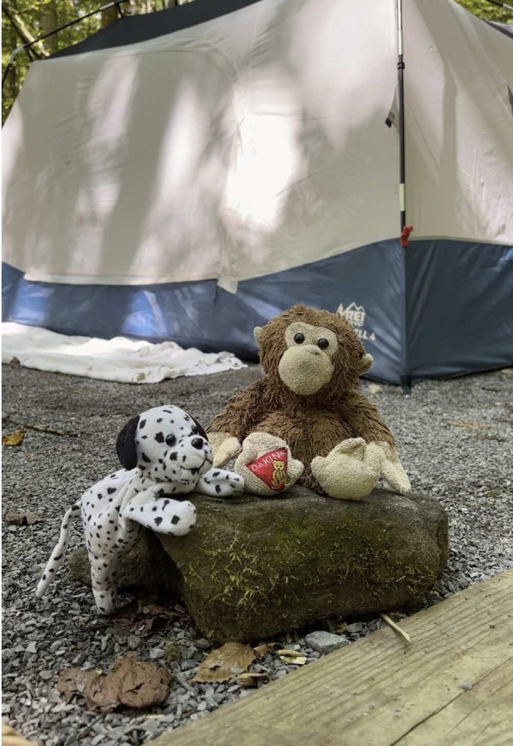 spot and monkey went camping 