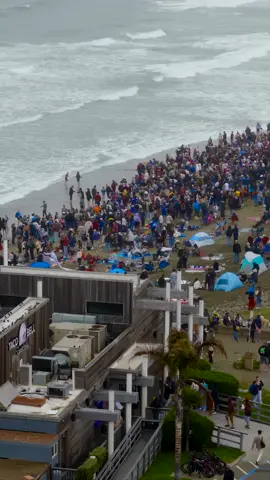 Dog Surfing contest at Linda Mar Beach in Pacifica, CA. It was wonderful to see everyone and the dogs dotting the shorelines. This one’s for you. 🥰 . . . #dogsurfing #pacifica #surfing #fypシ 