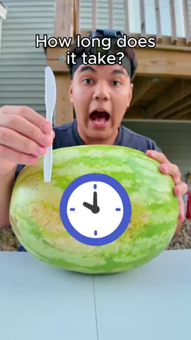 Can a Plastic Knife Cut a Watermelon? #viral #flycrunch #newengland #rhodeisland #providenceri #challenge #Summer 
