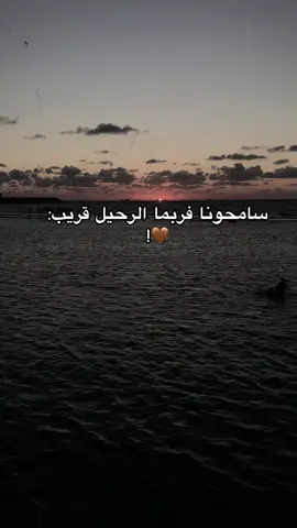 #متبعه_ولايك_وكبلور_وتعليق_ #مصمم_فيديوهات🎬🎵 #ليبيا_طرابلس🇱🇾🇱🇾🇱🇾 