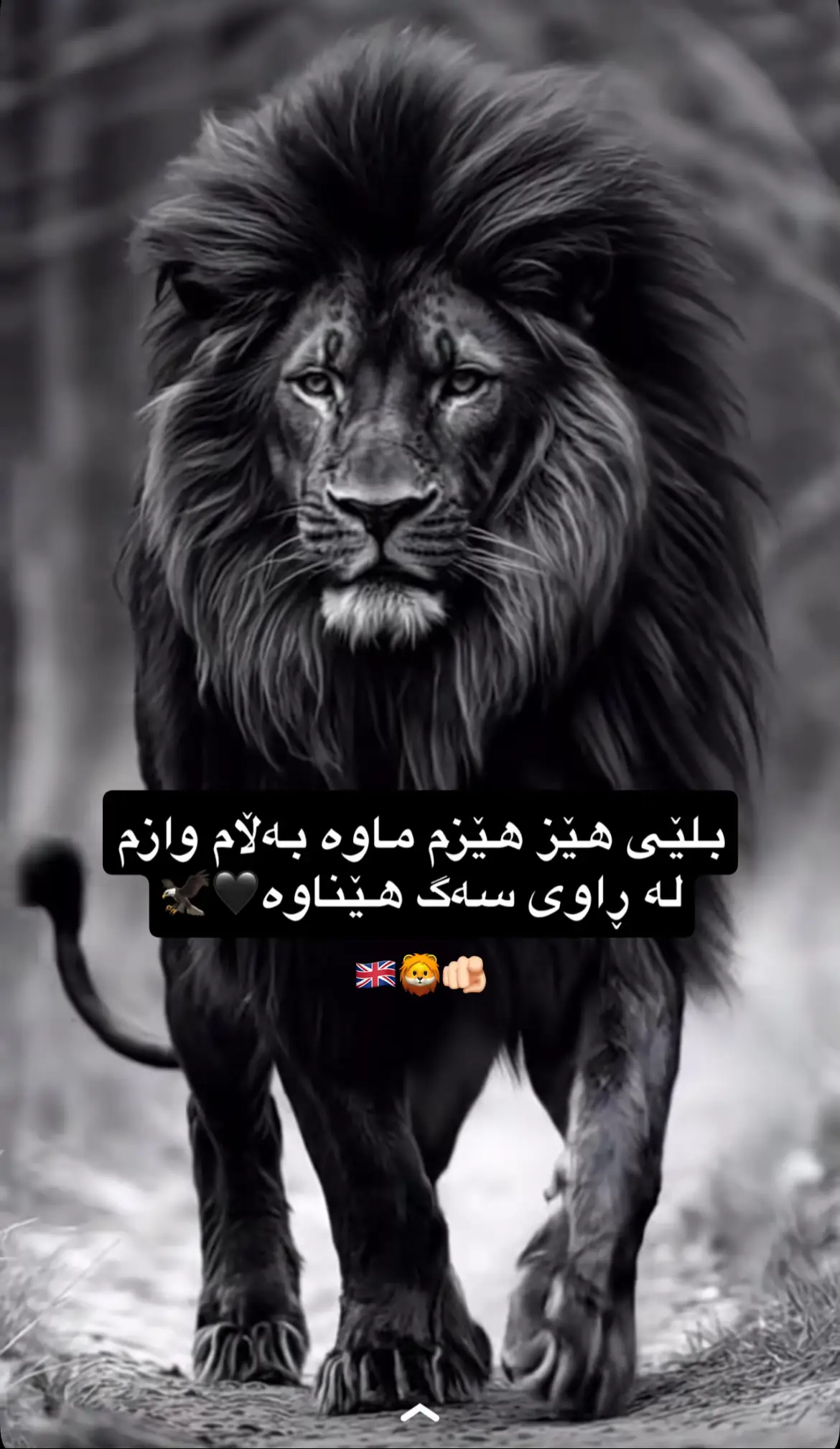 #CapCut #kurd #kurdi #kurdistan #leeds #kurdishleeds #fyp #cupcut #shaban #astaghfirullah  #alhamdulillah #allahuakbar #ramadan #سلێمانی #سلێمانی_هەولێر_کەرکوک_دهۆک   #loveyou #leedsfestival #leedsfestival #leedsuni 