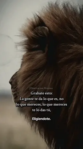 #leones #parati #andalucia🇳🇬🇪🇦 