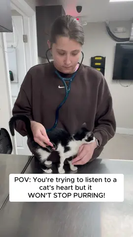 At Beyond Pets Animal Hospital, we’ve learned that listening to a cat’s heart isn’t always as simple as it sounds — especially when they decide it’s the perfect time for a full-volume purr session 😹💓 Moments like these keep our days light and full of laughter, even during the busiest shifts. We may joke around, but our dedication to practicing excellent medicine never wavers. Every purr, wiggle, and surprise is part of the job we love. 🐾💙 #BeyondPetsAnimalHospital #VetLife #FelineMedicine #VetMed #PurringProblems #CatVetChronicles #WeLoveOurPatients #QualityCareWithHeart #TeamVet #VetTok 🩺🐱😄