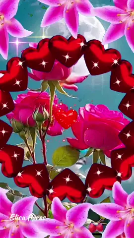 #Floresita #De #Asusena #