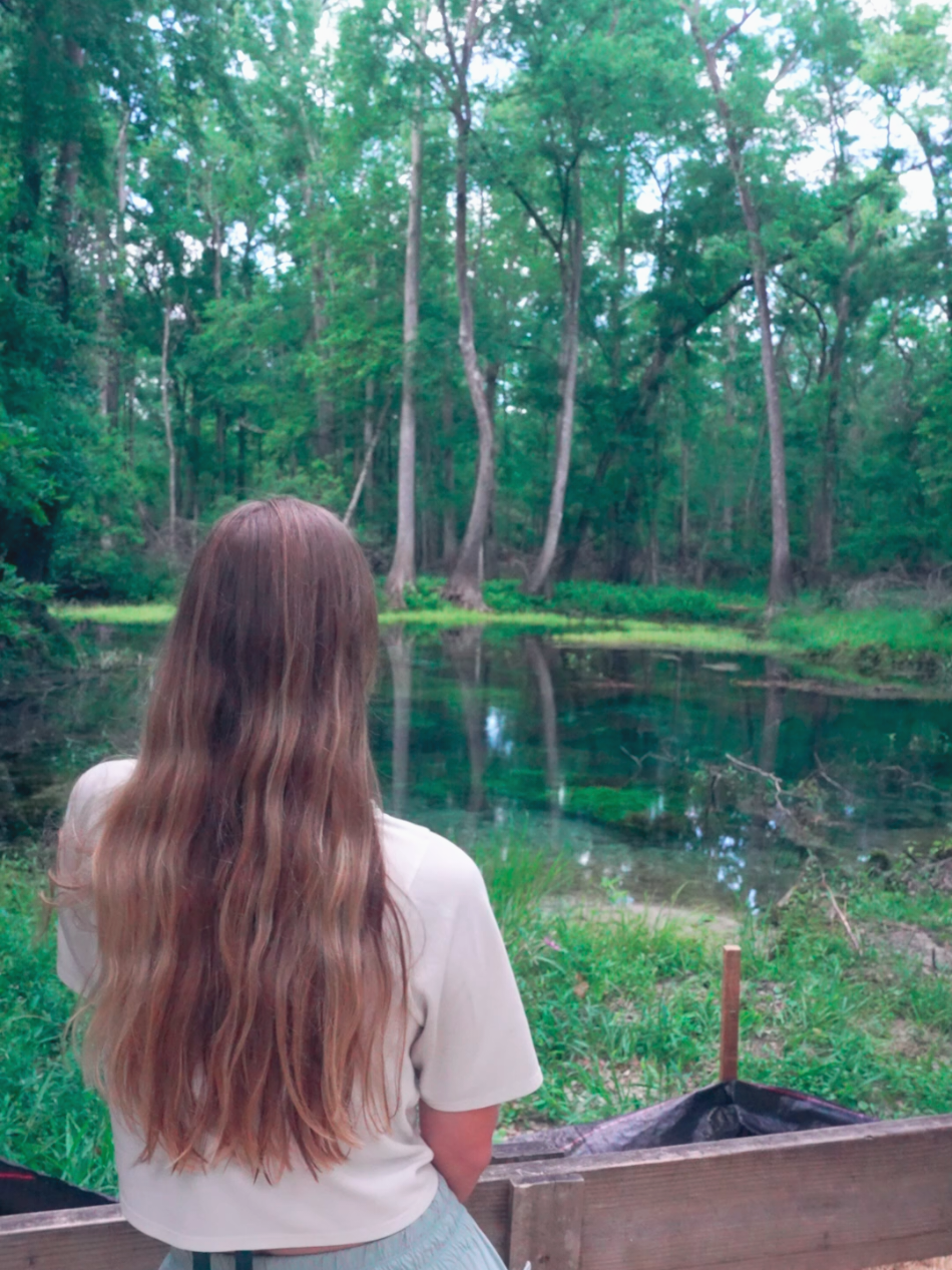 The nature trail at Gilchrist Blue Springs is peaceful, shaded, and full of hidden beauty 🌿 Don’t miss the 350-year-old cypress tree. 🌳  Watch the full adventure on our YouTube channel! 🎥 .. ..  #FloridaHikes #GilchristBlueSprings #NatureTrail #HiddenGems  #ExploreFlorida #naturalsprings  #thingstodoinflorida  #onlyinflorida  #gilchristbluespringsstatepark #floridasprings #naturegirl 