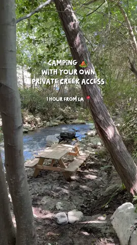 Mention  my name CYNTHIA to save some $$ on your booking :)  This is in Lytle Creek, California near San Bernardino CA @Lytle Creek Villas The RV being fully stocked was my favorite part—and the campground was so peaceful and private/quiet  it’s a short three minute walk to the green fence where you will have your own private access to the creek and can cook by the creek and have a great time ❤️🫶🏼  it is dog friendly  🐾 visit @lytlecreekvillas to book your stay or send them a DM to book :)   They have a link in their bio and you can book there or through DM  #hidden#hiddencampingCAn#campingbythecreekinCalifornian#campinggoalsn#campingbythecreekc#lytlecreekvillasc#lytlecreekvillasRV