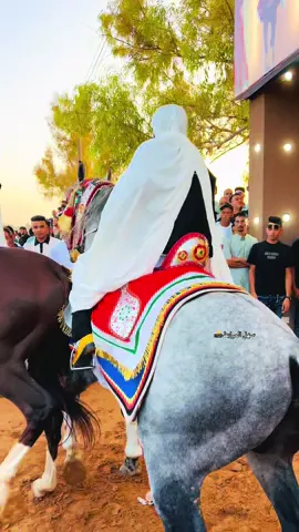 قريب راح فيها الفارس الي قدامه 🤦🏾‍♂️ #سهل_المرابط🥇📸 #خيل_وخياله #خيل_وخياله🐎 #مصراتة #videoviral #خيل #خيل_عربي_اصيل #خيل_وخياله🐎🖤ماشاءالله_اللهم_بارك🧿♥️ #ماشاءالله #الشعب_الصيني_ماله_حل😂😂 #طياره✈️ 