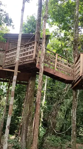 🌿🏡 En Gecko Aventura Extrema no solo se vive la adrenalina… también se descansa en plena selva. . Descubre sus cabañas elevadas entre los árboles, con opciones para todo tipo de viajeros: desde habitaciones sencillas hasta espacios familiares. . ¡Vive la aventura completa, con descanso incluido! . #GeckoAventuraExtrema #AlojamientoAmazonas #CabañasEnLaSelva #ViajaConLili  #megatours 