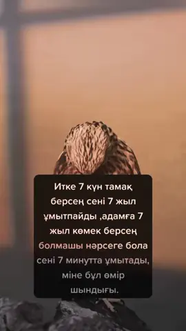 #ВэтотДень 