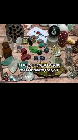 🌀 #thrift #trinketbok #whimsical #crow #aesthetic #pinterest #vintage 