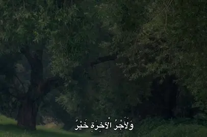 #عبدالباسط_عبدالصمد #quran #fyp #🎧 