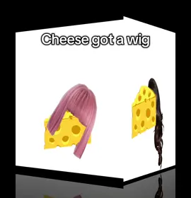 Cheese got a wig 😔 