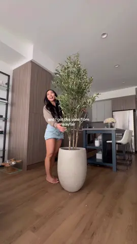 unbox my olive tree with me #interiordesign #olivetree 