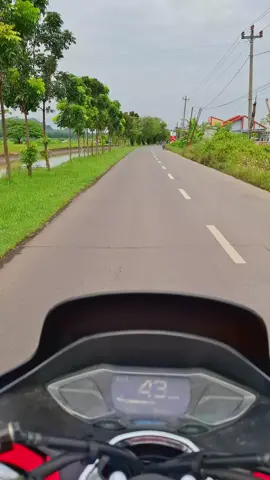 songgom ari lg sepi,sepi nmn
