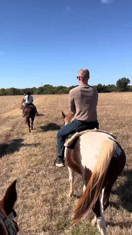 #family #horses #son #peace