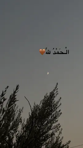 #oops_alhamdulelah 🤎