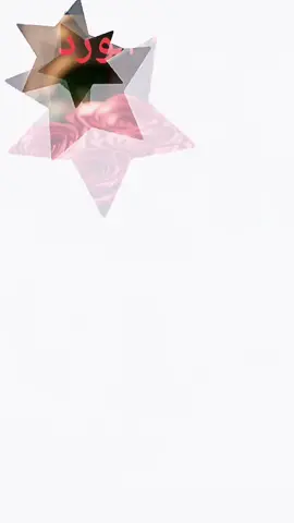 #CapCut #دعاء_الصباح♥🌺_صباح_الورد #صباح_التفاول_والسعادة_وراحة_بال❤️ #صباحكم_سعادهـ🌸🍃 