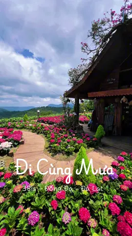 Đà Lạt thời tiết mấy hôm nay đẹp rồi các bạn chuẩn bị ba lô lên Đà Lạt du lịch thôi nha  🥰🥰 📍 Đi Cùng Mưa  #latnoitravel #dalatreviewtravel #dicungmua 