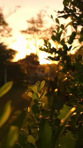 #cinematic #modoPro #s23ultra 