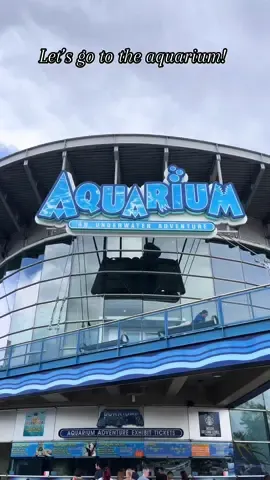 Fish time @Denver Aquarium #fish #aquarium #denver 