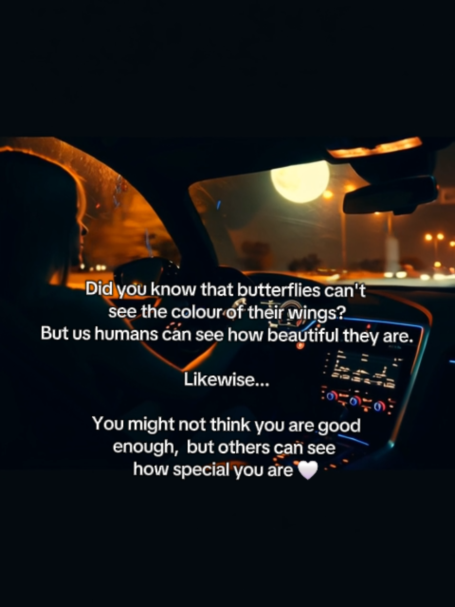 #fyp #butterfly #beautiful  #lifelessons #truth 
