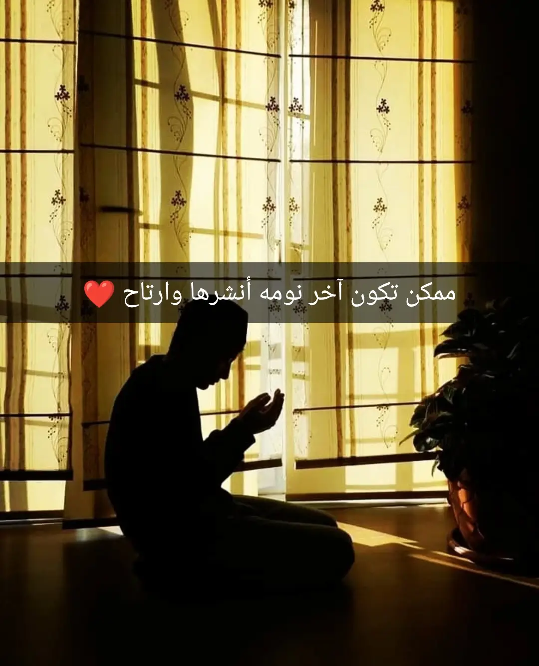 #قران_كريم 