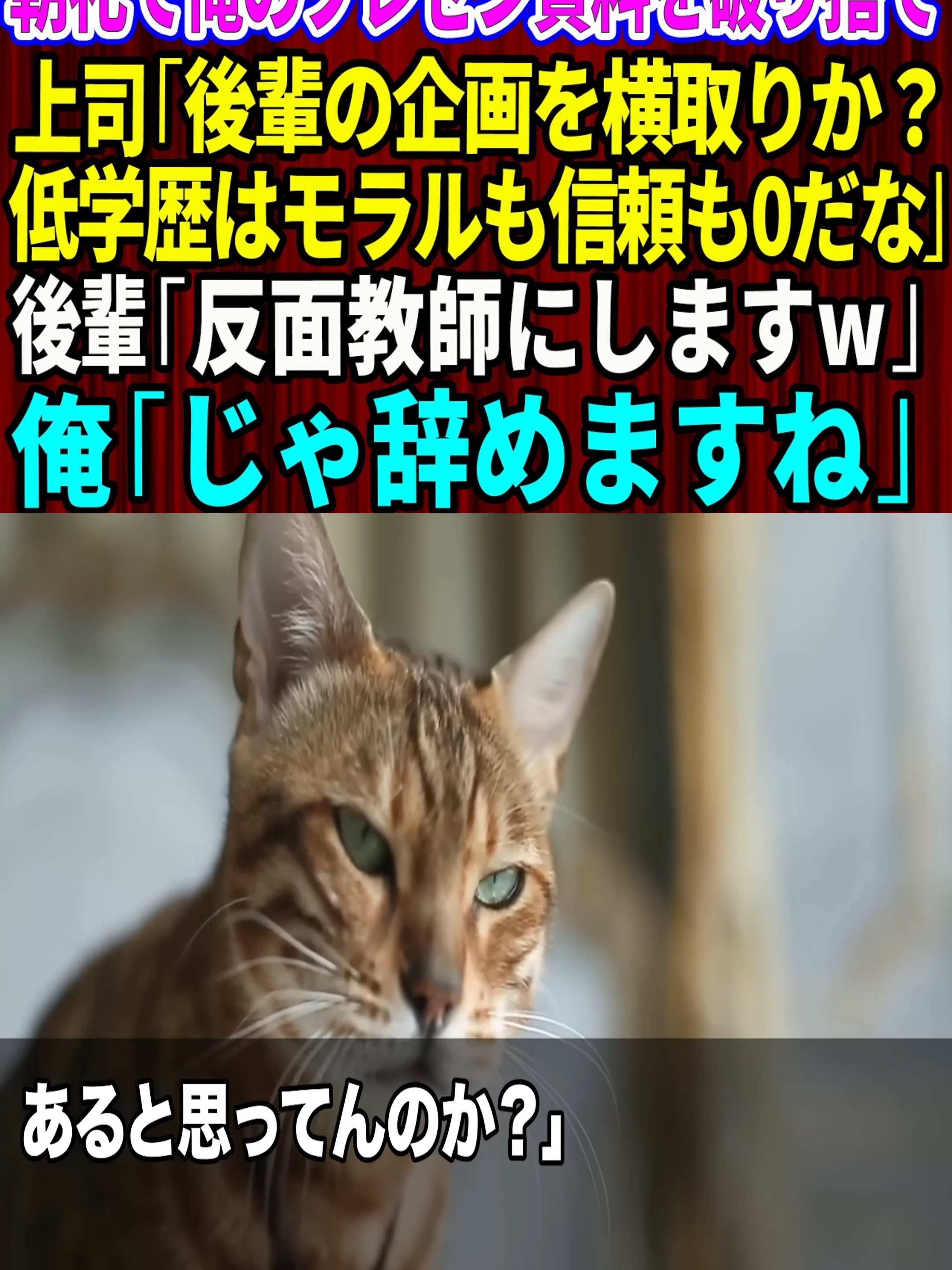 【スカッと】朝礼の社員全員の前で俺のプレゼン資料を破り捨てる上司「後輩の企画を横取りか？低学歴はモラルも信頼も0だなw」後輩「反面教師にします」→俺「じゃ辞めますね」【感動する話】  (p5)
