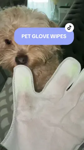 Pet Glove Wipes, Freshening Grooming Dog&Cat Disposable 20Pcs Satisfied Gentle Fresh Breath Outdoor No-clean Hypoallergenic Facial Pet Wipes Disposable No-Rinse Grooming Formulated for dogs petwipes Deodorizing #TikTokShopBacktoSchool  This is the pet moisturizing wipes. These wipes are soft and come with a cap, making them easy to use. They don't leave any annoying fluff behind and don't have a strong smell. The wipes are quite large, and you get a lot of them. Perfect for keeping your pet clean and happy! Try these wipes today and see how easy pet care can be!