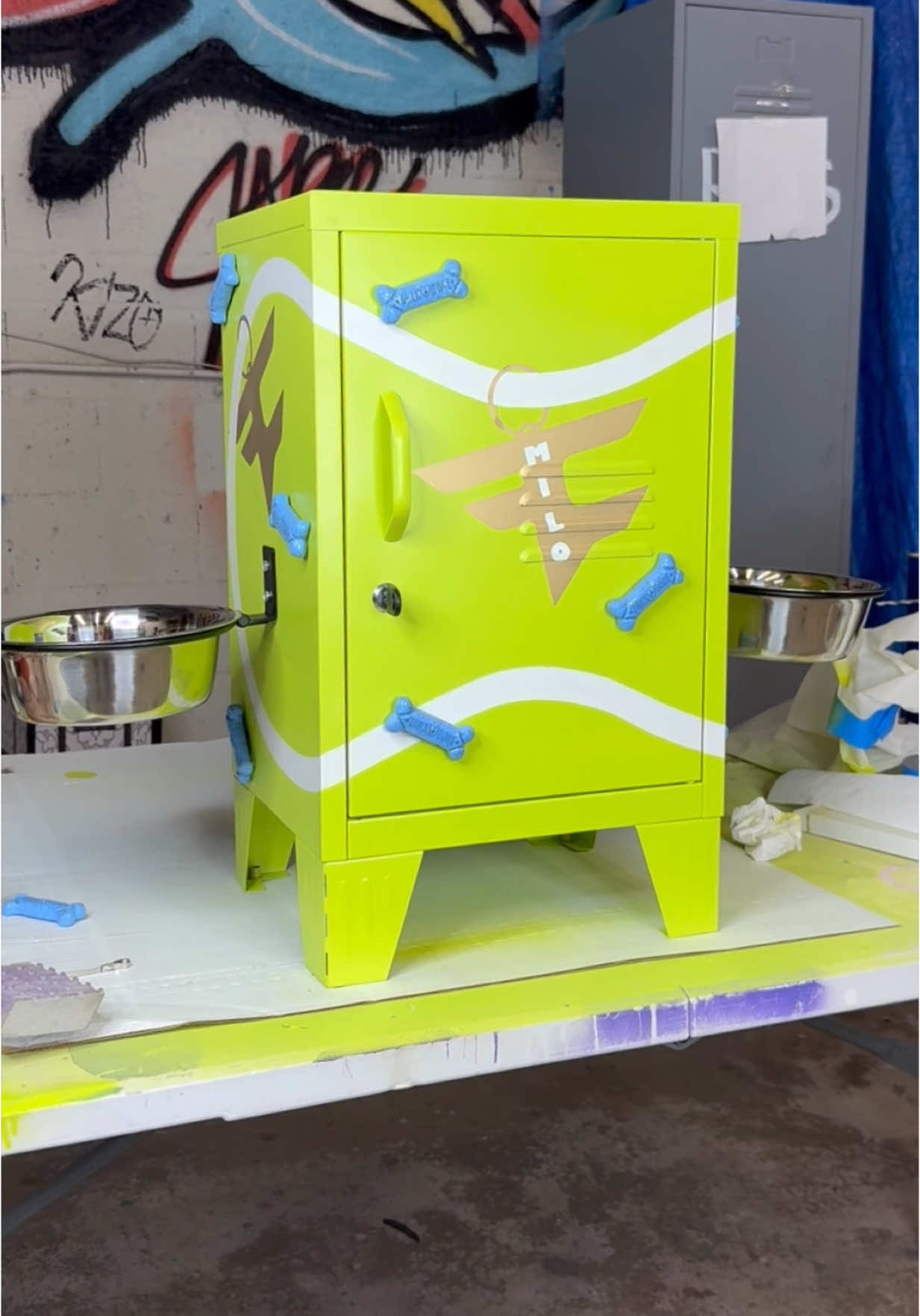 Enough tennis balls to last a lifetime 🎾#faze #locker #custom #DIY #kizo 