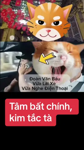 #thichminhtuemoinhathomna 