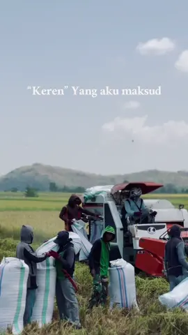 keren versi gwehj #promoseruweekend #petaniindonesia🇮🇩🇮🇩🇮🇩🌿🌿 #petanimuda #promomakangajian #petanimilenial 