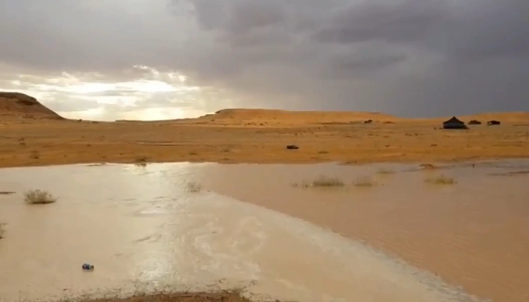ياعبد الغني ربك اذا حب عبد اغناه و هداه و حماه من الذنوب و ستر عيبه هني من يطيع الله تعالى و لا يعصاه هو اكبر غني لو ما معه قرش في جيبه اما اللي يلم المال و يموت ما زكاه جعله فدوت اللي يرخصه في مواجيبه وجدنا العرب كلن يغني على ليلاه و به ناس في نعمه و به ناس في مصيبة احدن فقدته يوم تونس وجع فرقاه و يجيب الغنايم كل ما طول الغيبة و احد ما يروح الا و قد ودك بفرقاه اعقابن عيونه ما تذله مراقيبه هذا ودك انه السمن ينثر على يمناه و اذا لاحن بضيفانه هو اولى معازيبه