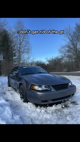 #oldmustang 