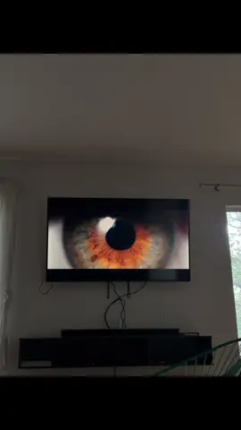 El sentimiento de no saber lo que me estaba perdiendo antes de ver esta película es irreal 