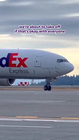 that’s fine, right? just checking. 👉👈 #plane #aviation #plen