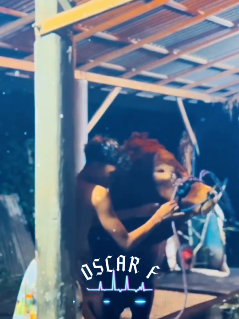 Dj hey shona #oscar #masiyun #oscarfarm #oscar_farm #heyshona 
