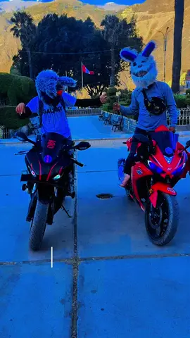 #paratiiiiiiiiiiiiiiiiiiiiiiiiiiiiiii #videoviral #conejo Cris❤️#perú🇵🇪 #áncash#caraz# viajes 🏍️✌️