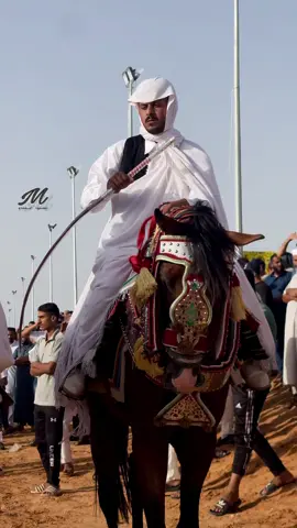 سيدها احميده ياغالي 🔥🦅 #فرسان #ليبيا #تريس_ليبيا #خيل_وخياله🐎 #محمود_الغناي📸 #اعادة_النشر🔃 #photography #horses #الشعب_الصيني_ماله_حل😂😂 