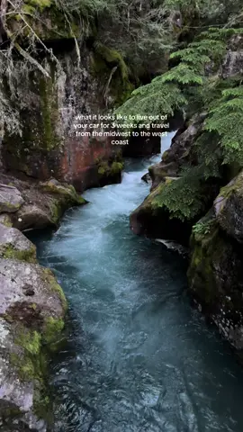 i’m in love with this world we live in #travel #roadtrip #pnw #vanlife #solotravel 