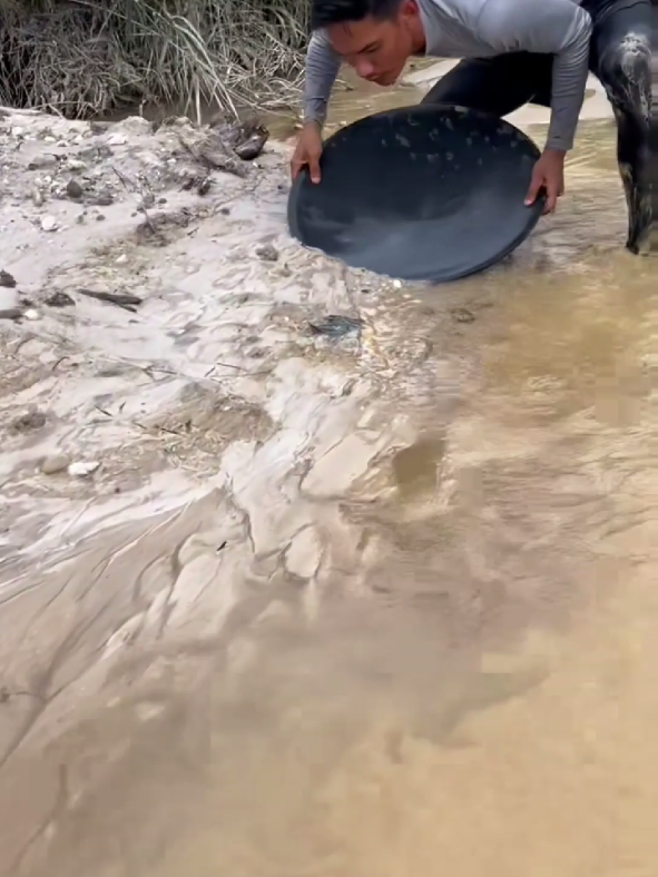 So Crazy.‼️😱 we found a lot of gold from yellow material #viralvideo #golddiscovery #goldpanning #mininggold #goldhunter #foryou #foryoupage 