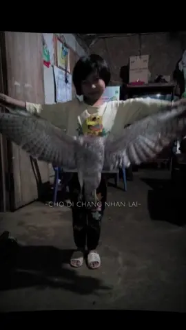 #flypシ #xuhuong #xuhuongtiktok #abcxyz #vairal 