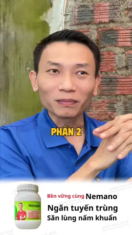 Cây đã bị tuyến trùng, xử lý như thế nào phần 2 #webnhaque #tuyentrung #nongnghiep 