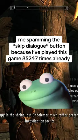 just give me the quest fr #CapCut #skyrim #videogames #video #game #lizard #play #funny