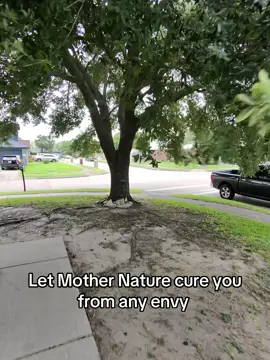 Mother Nature at its finest  #lovespell #protectionspell #moneyspell #beginnerwitchtips #witchtok #witchy #lovereading  #brujatips101 #spelltutorial #witchytips 
