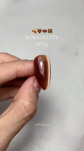 #nailart #bornpretty #nailgelpolish #nails #nails💅 #coklatviral #coklatmahogany 